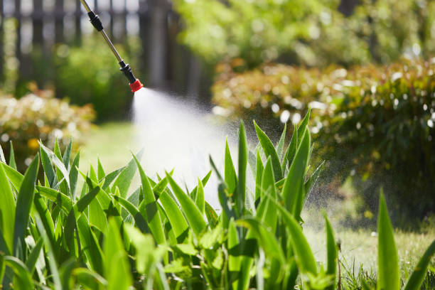 24/7 Emergency Mosquito Control experts in Mount Arlington, NJ