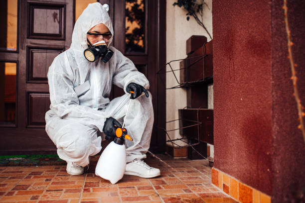 Reliable Mosquito Control contractor in Mount Arlington, NJ by Show Me Pest Control